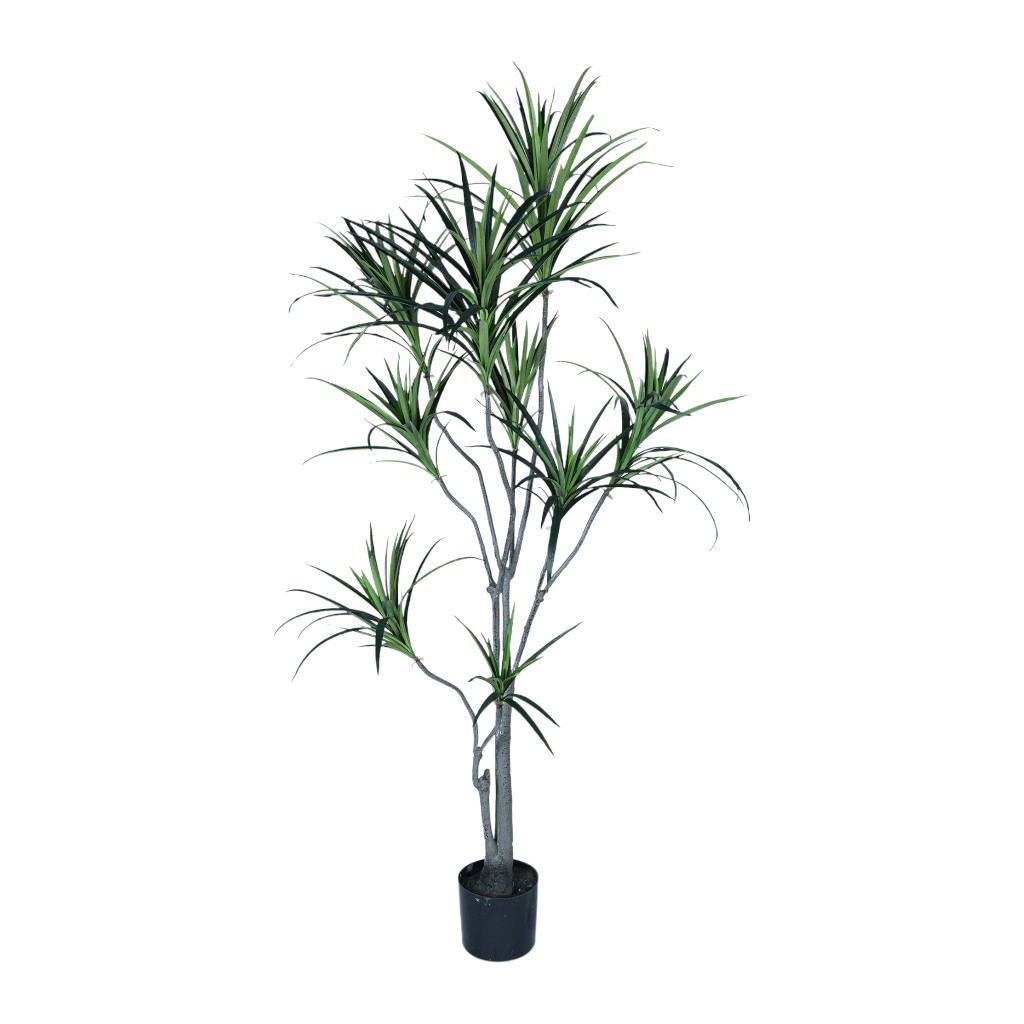 Dracaena Artificial 1.8m