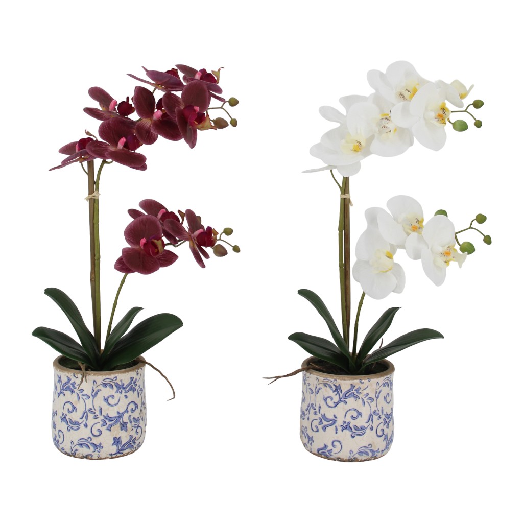 Orquideas En Pote-rt 54cm Surtida