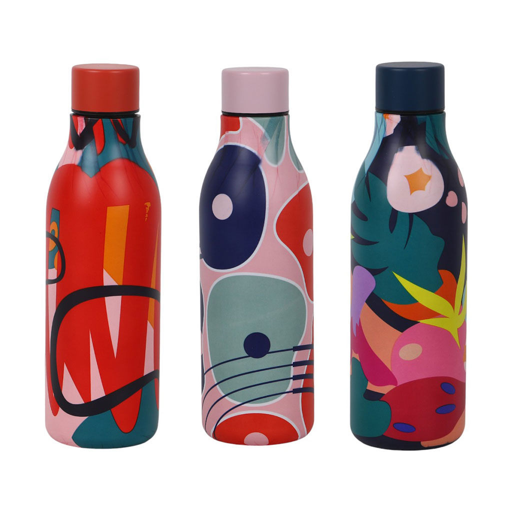 Botella De Agua Doble Pared 17Oz Surtido