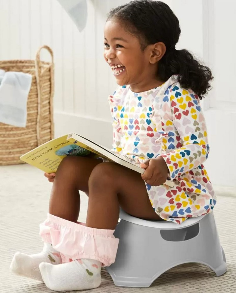 Orinal En Color Gris