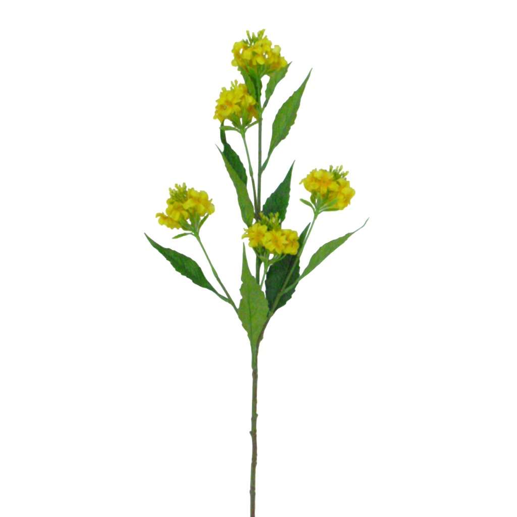 Flor Decorativo De Phlox X5 Amarillo
