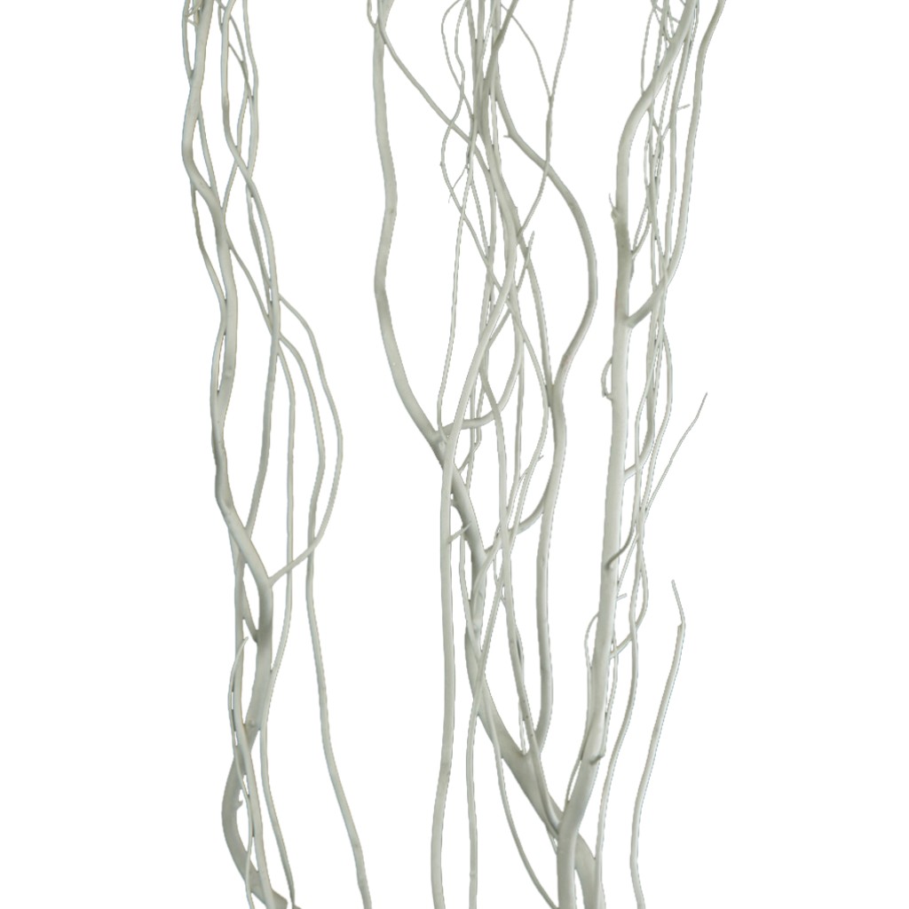 Ramas Secas De 5 Piezas De Salix Blanco 1.5M