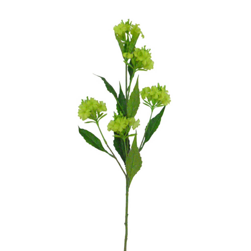Flor Decorativo De Phlox X5 Verde
