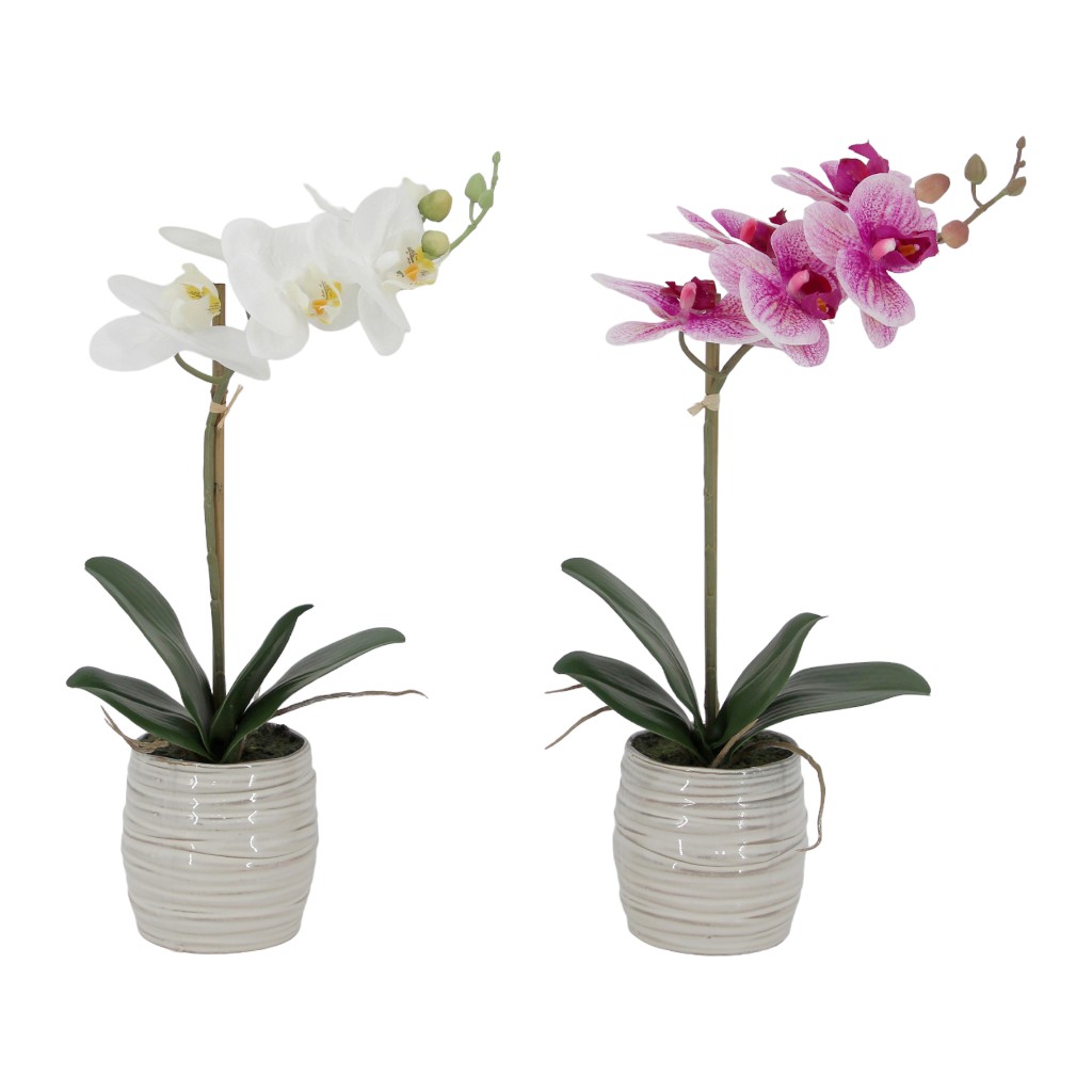 Orquideas En Pote-rt 44cm Surtida