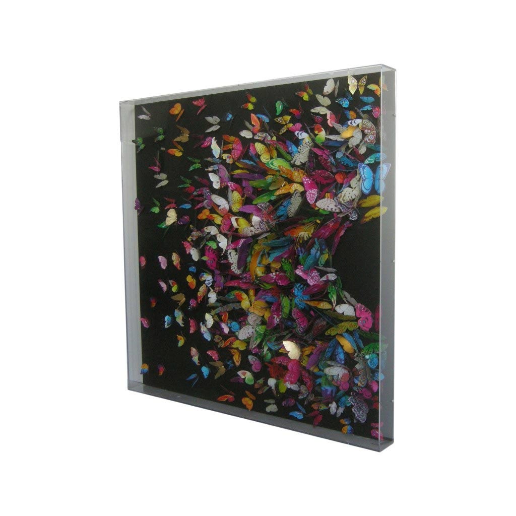 Cuadro 3D Mariposas En Caja Acrílica 100x100x8cm