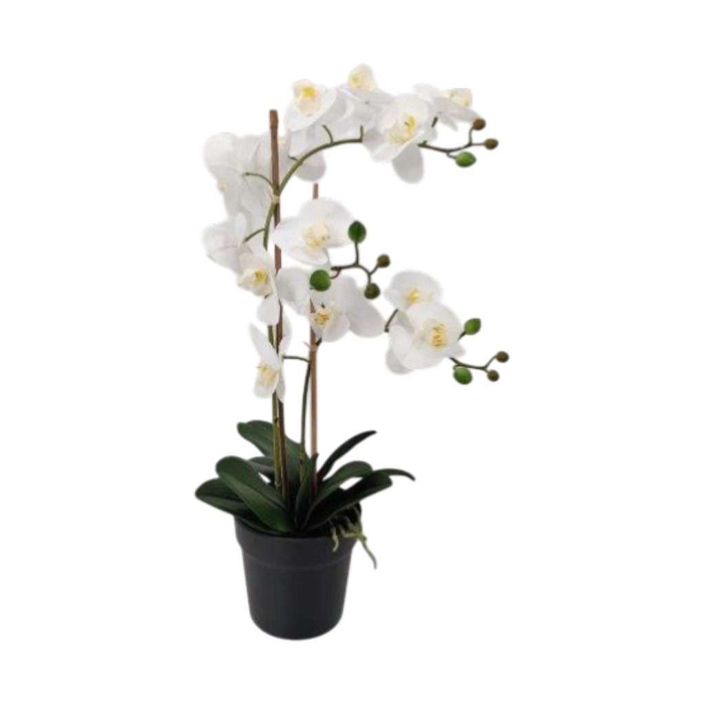 Flor Decorativo De Phalaenopsis 62cm