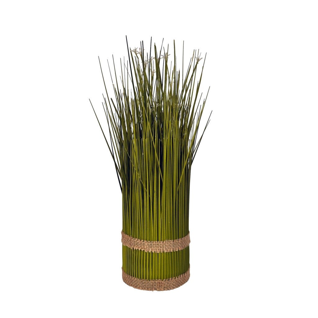 Arbusto De Cebolla 10X30Cm
