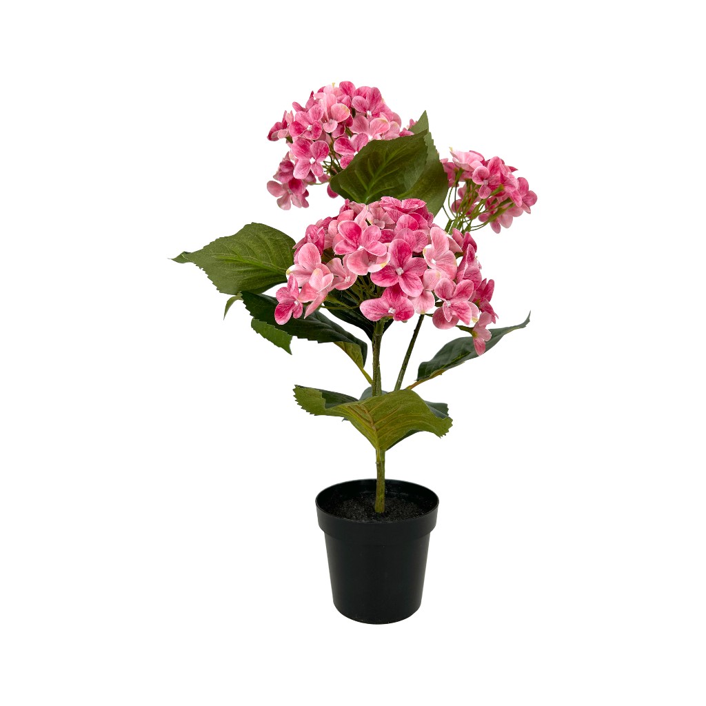 Hortensia Rosada En Pote 43cm