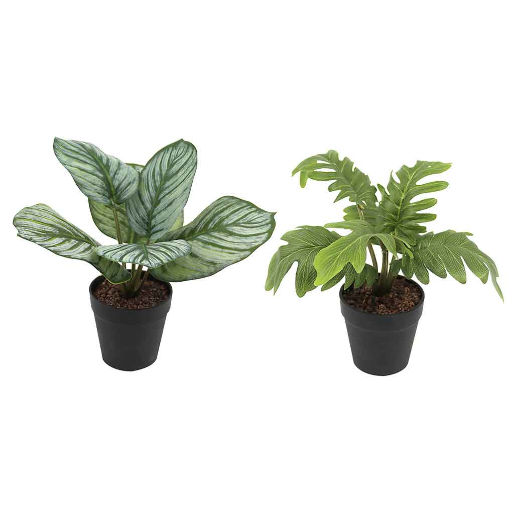 Plantas artificiales de filadendro en maceta 24CM surtidas