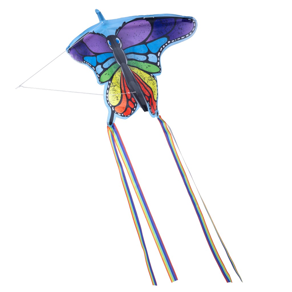 Cometa Mariposa Arcoiris 22X15In