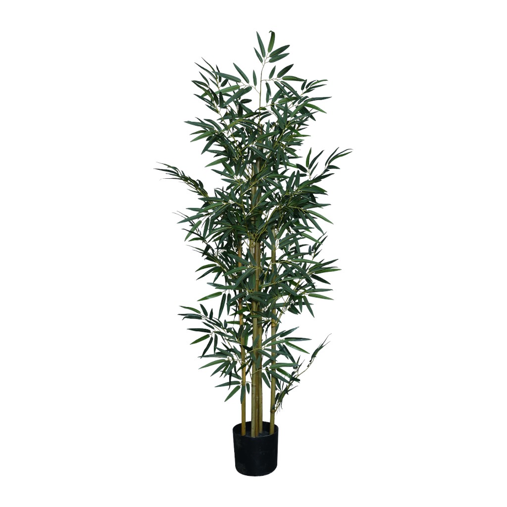 Bambu X5 Artificial 150cm