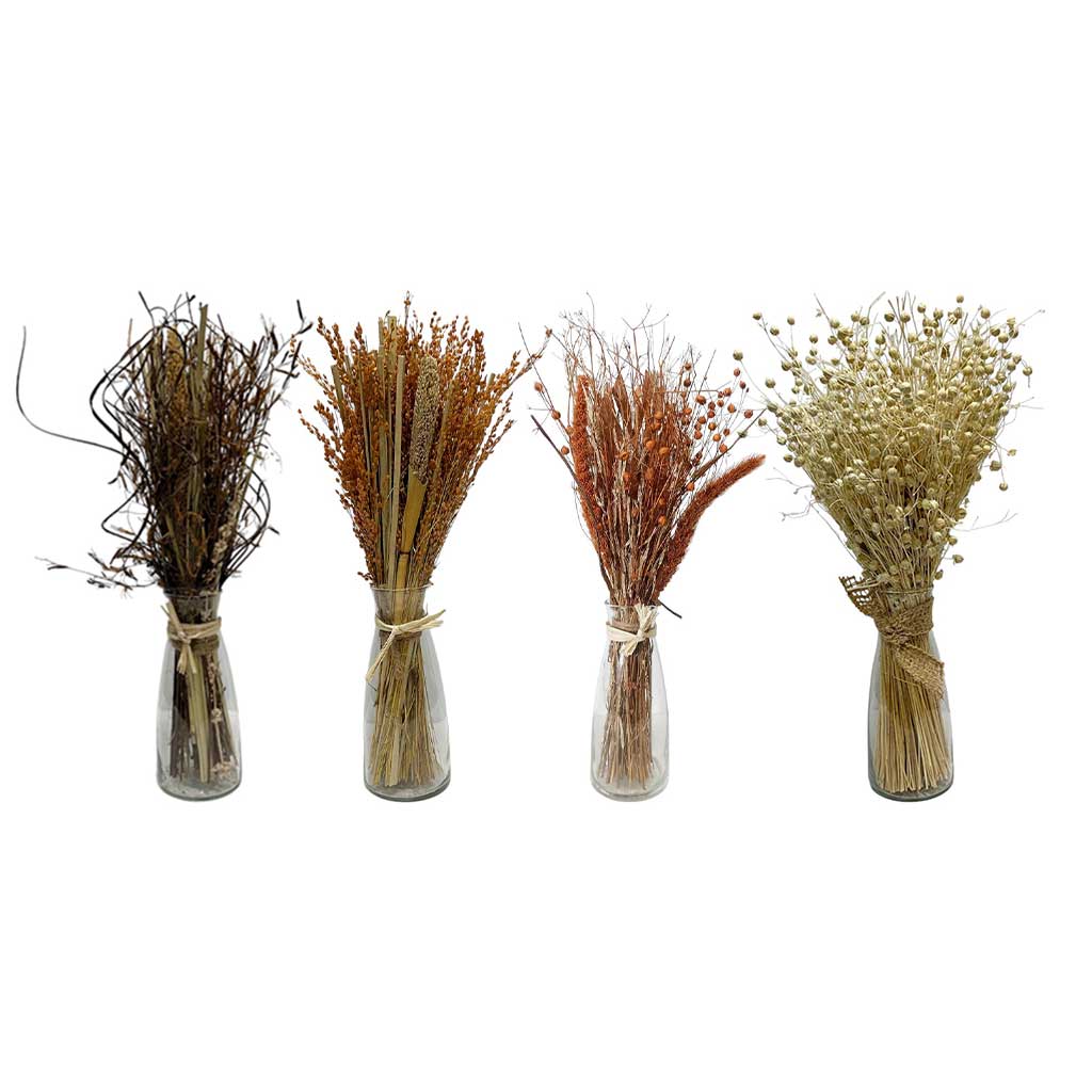 Jarrón De Vidrio Con Flores Secas 7X16Cm Surtidos