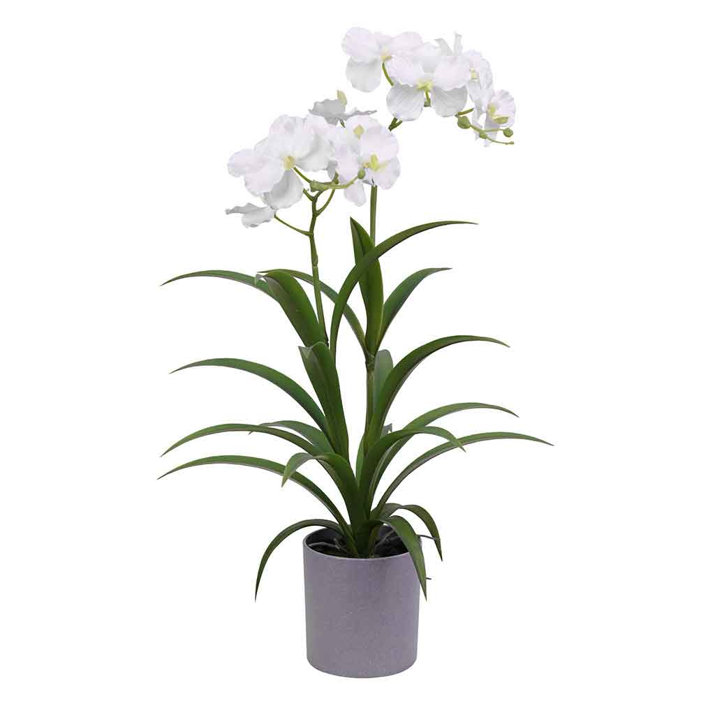 Flor de orquídea artificial blanca en maceta 56CM