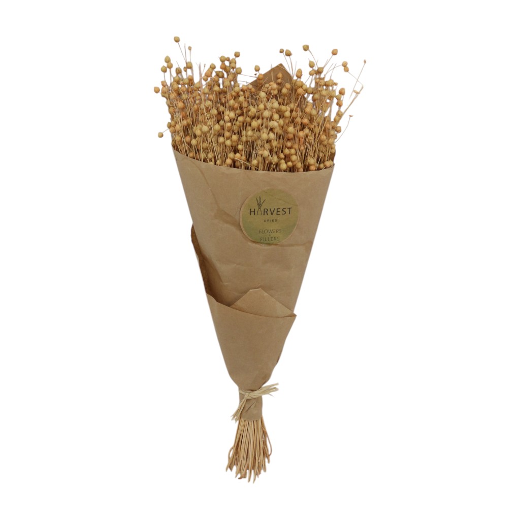 Planta Artificial Ramas Secas 95x100cm