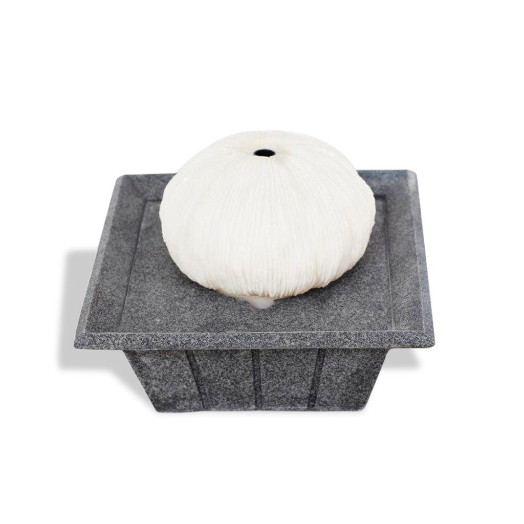 Fuente Decorativa 20x20x15cm