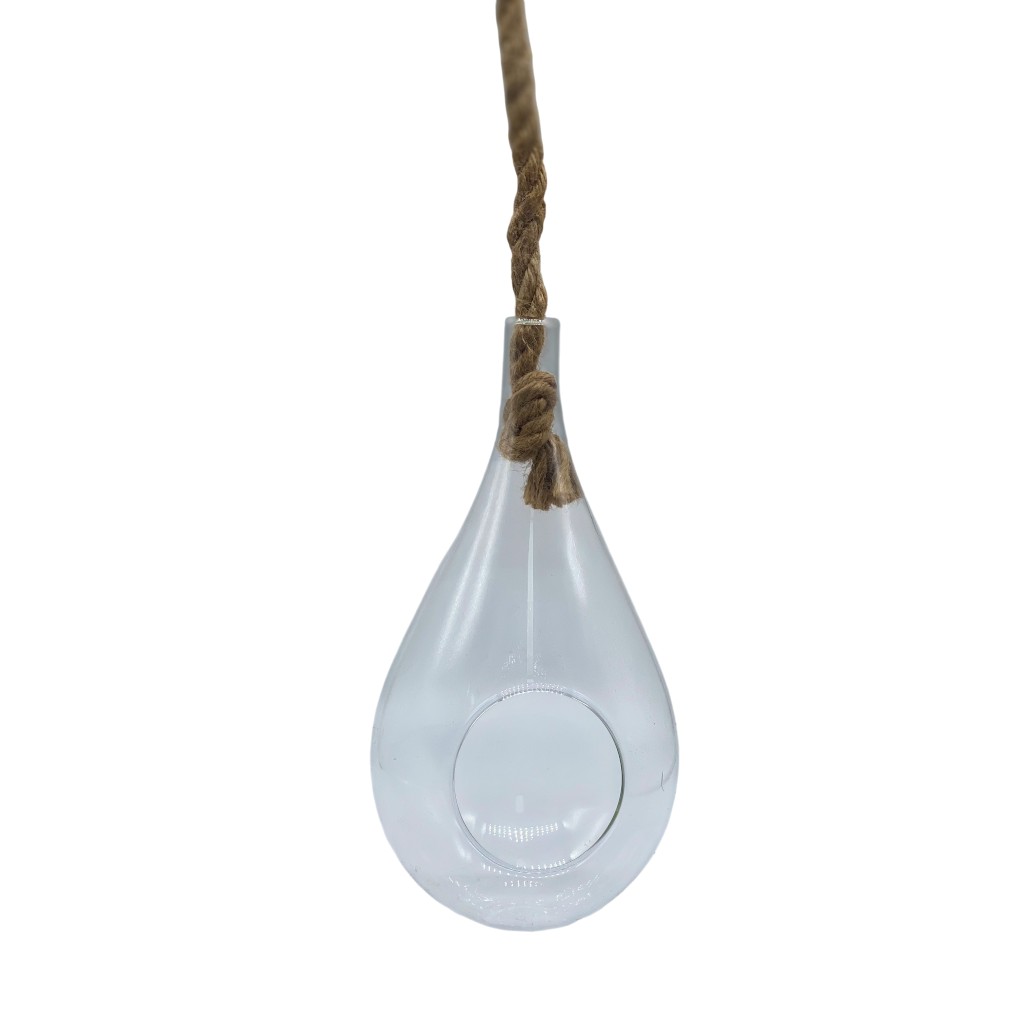 Terrario Colgante De Vidrio 13x25cm