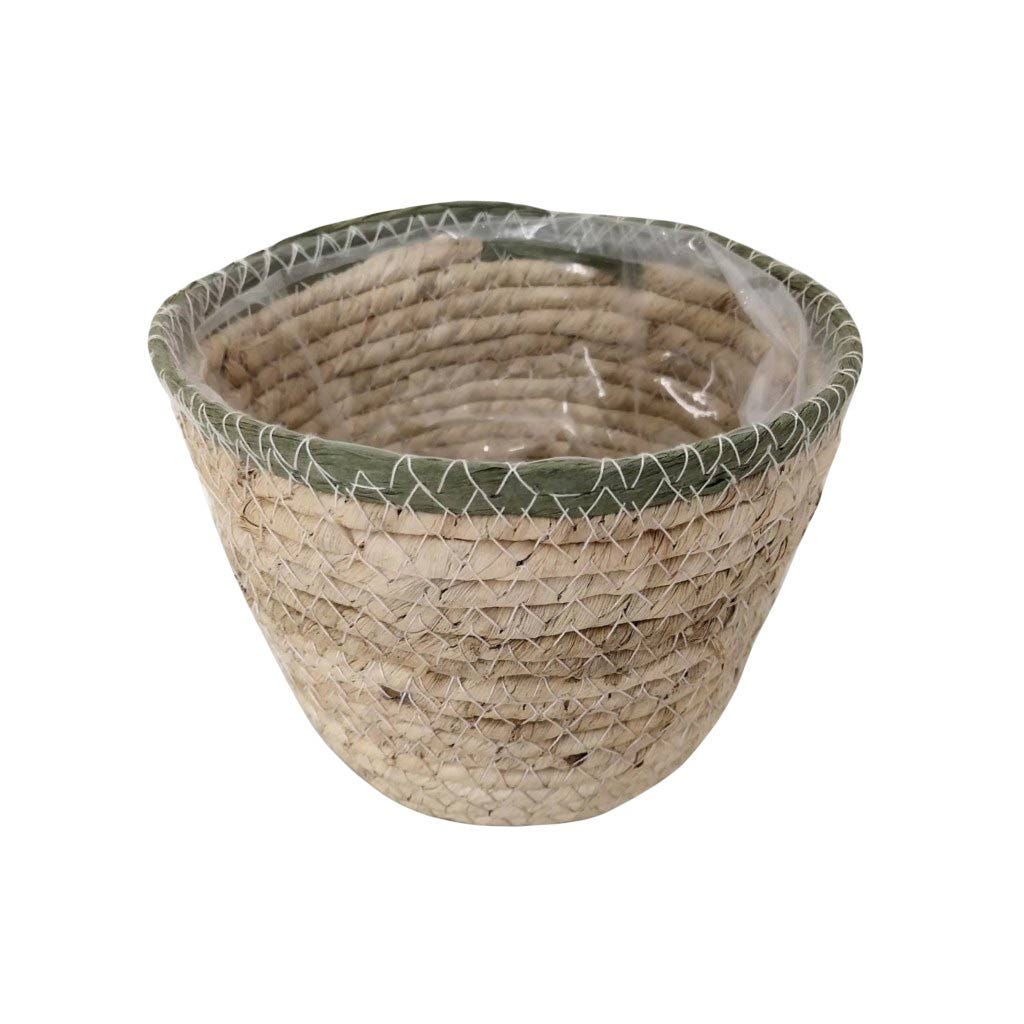 Cesta Para Plantas Crema Y Verde 15X12Cm