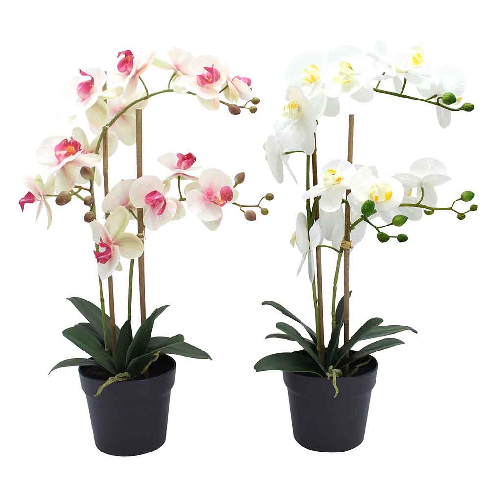 Flores artificiales de phalaenopsis en maceta surtidos 62CM