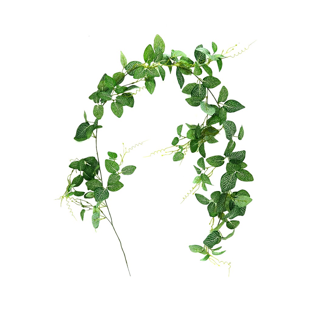 Guirnalda De Dracaena Verde/Blanco 2M