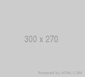 300x270